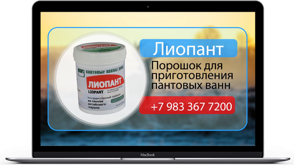 Презентация товаров 